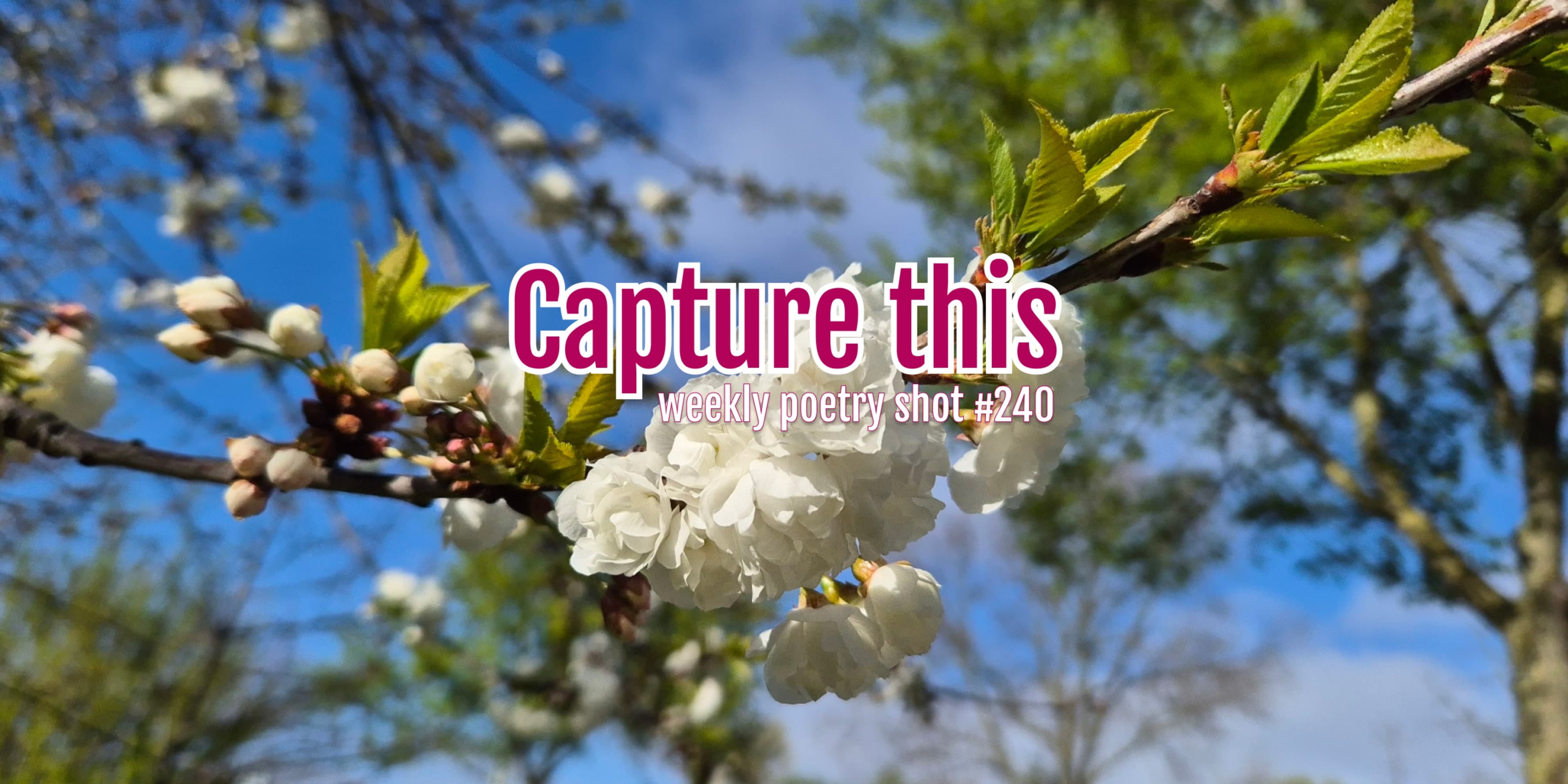 Discover card cover image