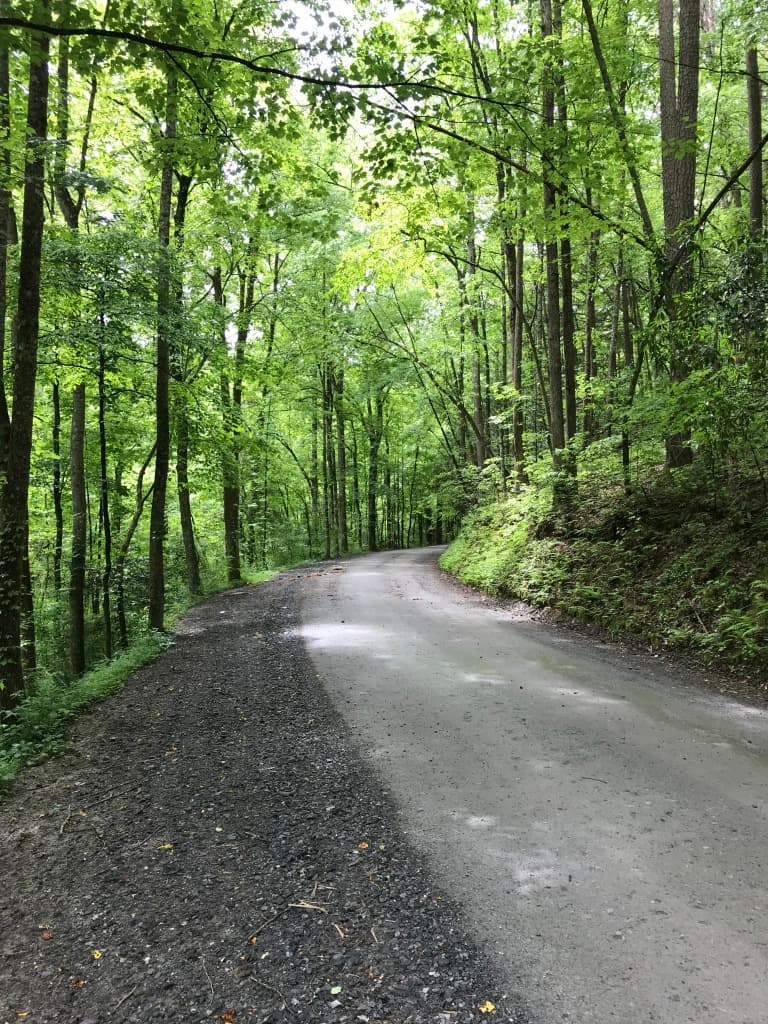 Discover card cover image