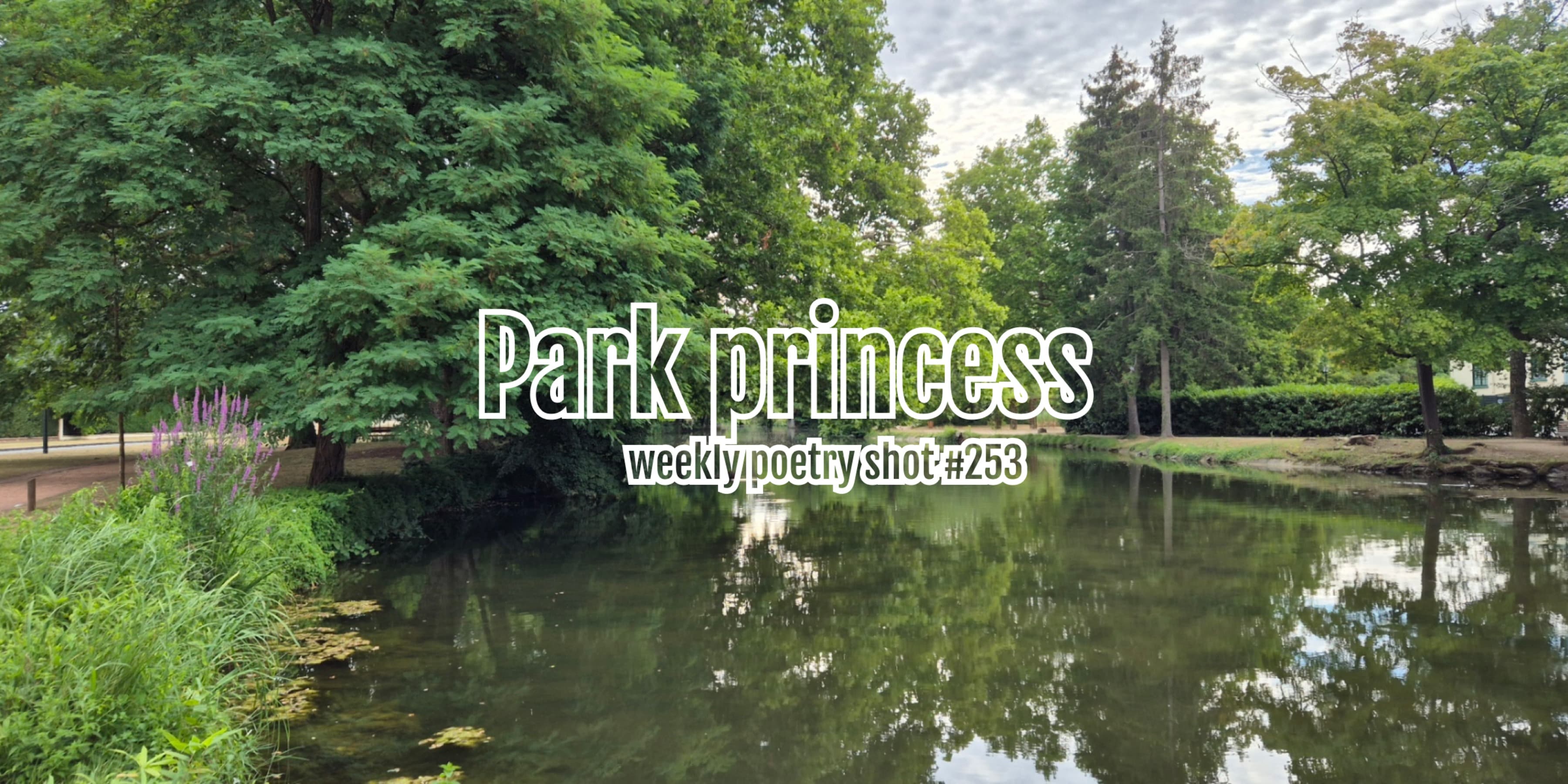 Discover card cover image